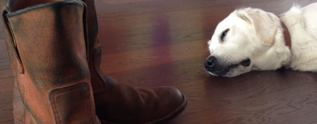 Redwing Boots & White Dog Ella