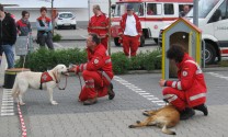 Rettungshundestaffel Westerwald - Westerwälder Katstag (Bild: Klaus Köhnen)