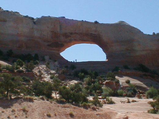 Am Wegesrand in Utah